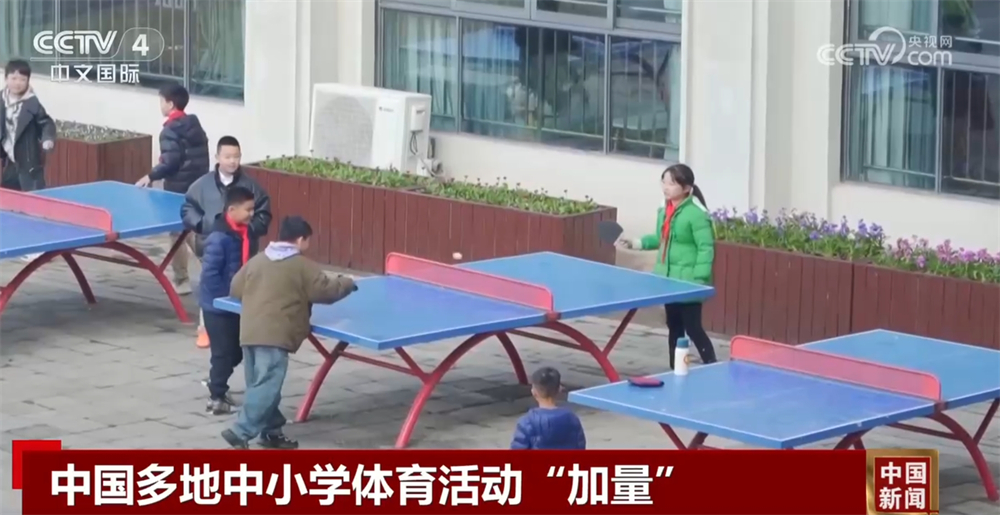 杨泽翔是斯